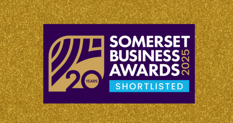 Image for Somerset Business Awards post